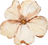 beige flower